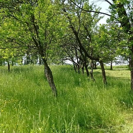 Oaza Milosci Lipinki (Gorlice) Exterior foto