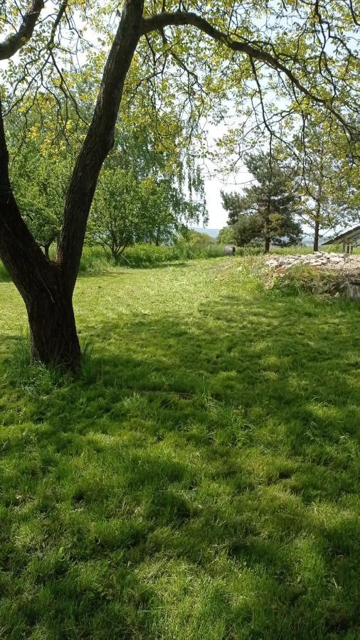 Oaza Milosci Lipinki (Gorlice) Exterior foto