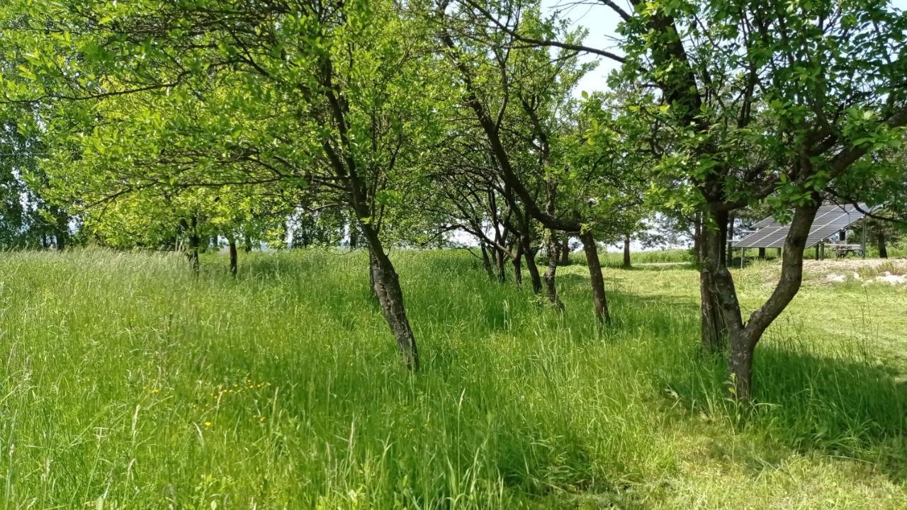 Oaza Milosci Lipinki (Gorlice) Exterior foto
